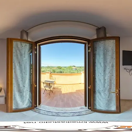 Il Vecchio Olivo Castagneto Carducci