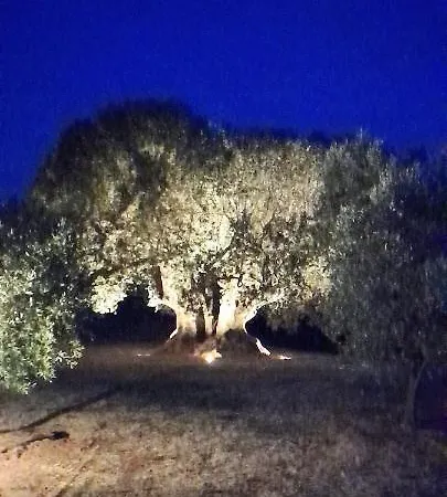 Il Vecchio Olivo Farm stay
