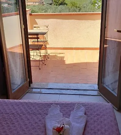 Il Vecchio Olivo