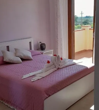 Il Vecchio Olivo Farm stay