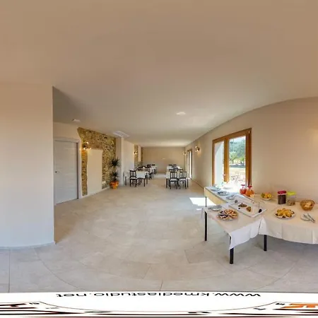 Il Vecchio Olivo Farm stay