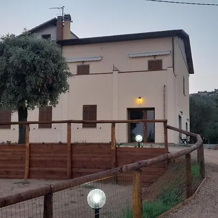 Il Vecchio Olivo Farm stay *