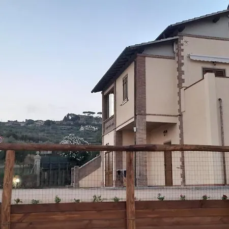 Il Vecchio Olivo * Castagneto Carducci