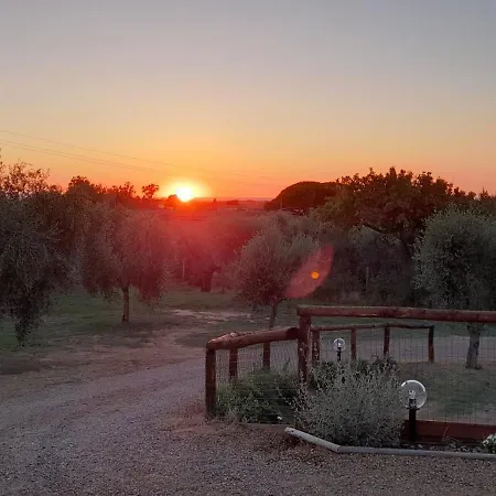 Farm stay Il Vecchio Olivo Castagneto Carducci