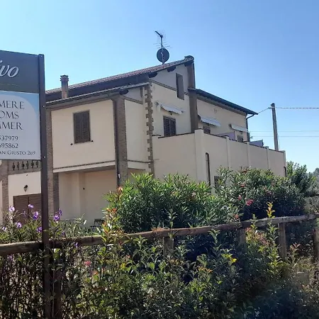 Il Vecchio Olivo *