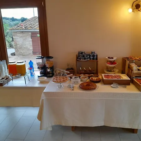 Il Vecchio Olivo Castagneto Carducci