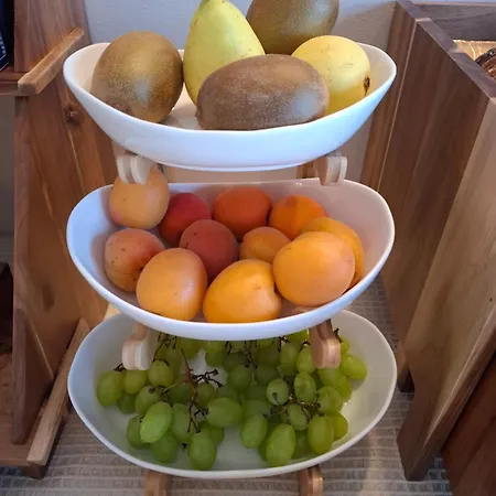 Il Vecchio Olivo *