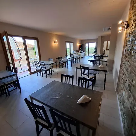 Il Vecchio Olivo Castagneto Carducci