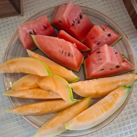 Il Vecchio Olivo Vakantieboerderij Castagneto Carducci