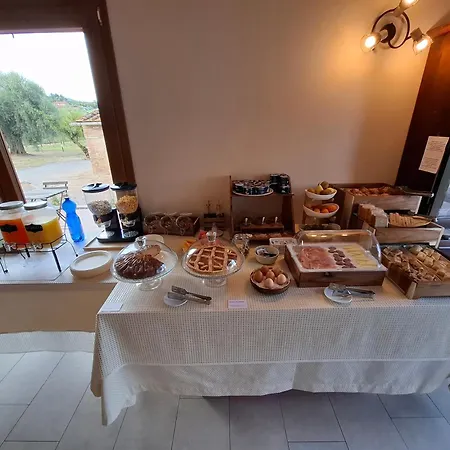 Il Vecchio Olivo